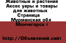 Животные и растения Аксесcуары и товары для животных - Страница 2 . Мурманская обл.,Мончегорск г.